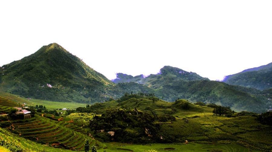 Rice Fields And Corn Fields In Ta Phin Village