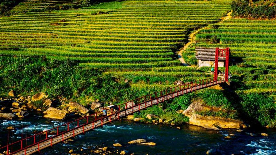 Hanging Bridge In Su Pan, Sapa, Vietnam