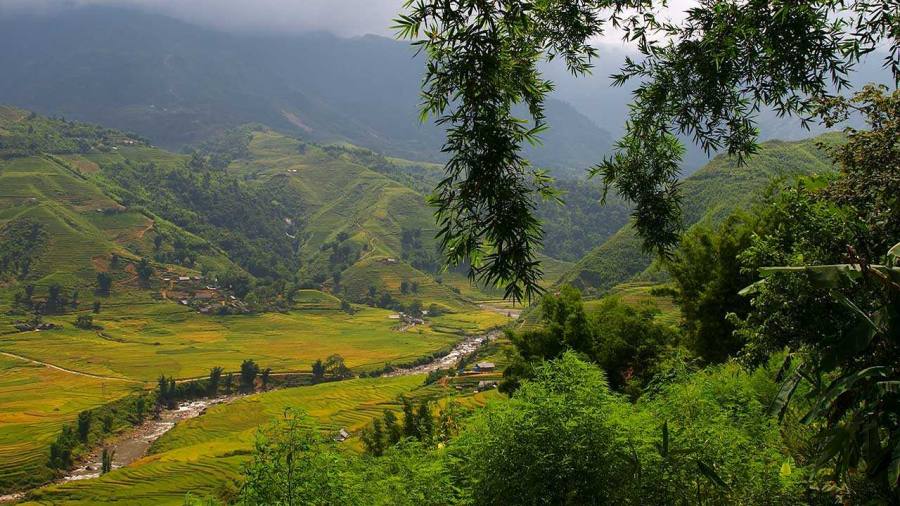 Trekking Sapa