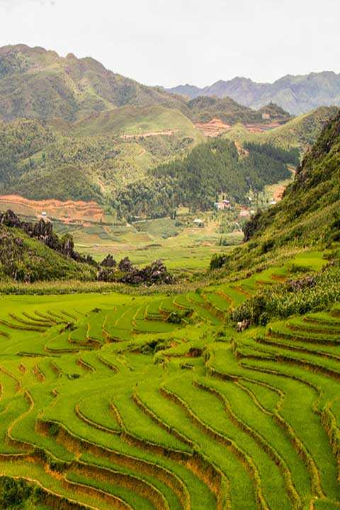 Sapa trekking and homestay
