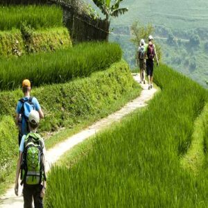 Hiking to rice fields