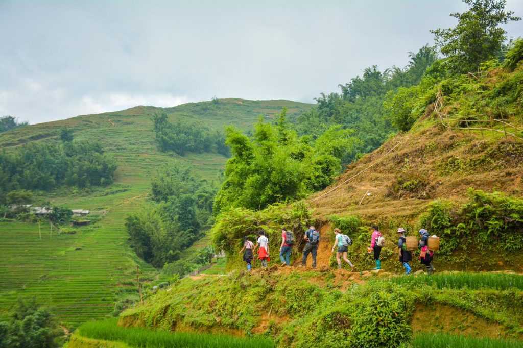 Walking To The Rice Paddies In Sapa