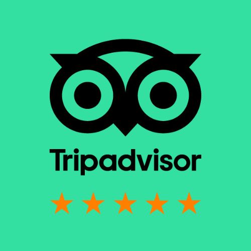 Tripavisor Review