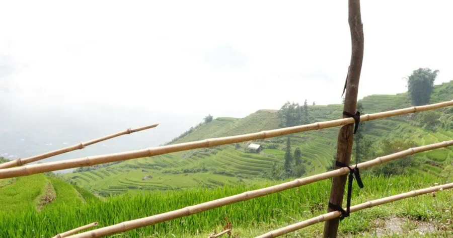 The Best Time Of Year To Go On A Sapa One-Day Tour​