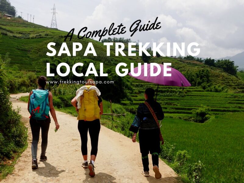 A Complete Guide to Trekking in Sapa with Local Experts