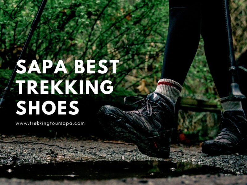 Best Sapa Trekking Shoes