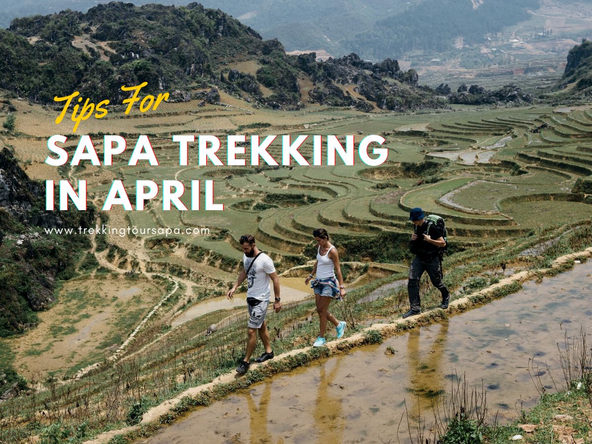 Sapa Trekking In April 2024 (The Best Time To Visit Sapa)