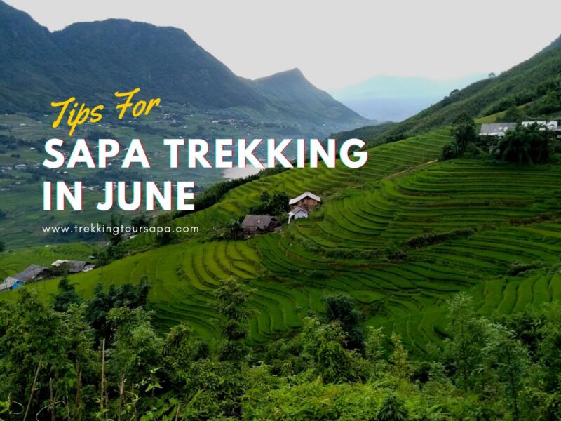 Sapa Trekking in June