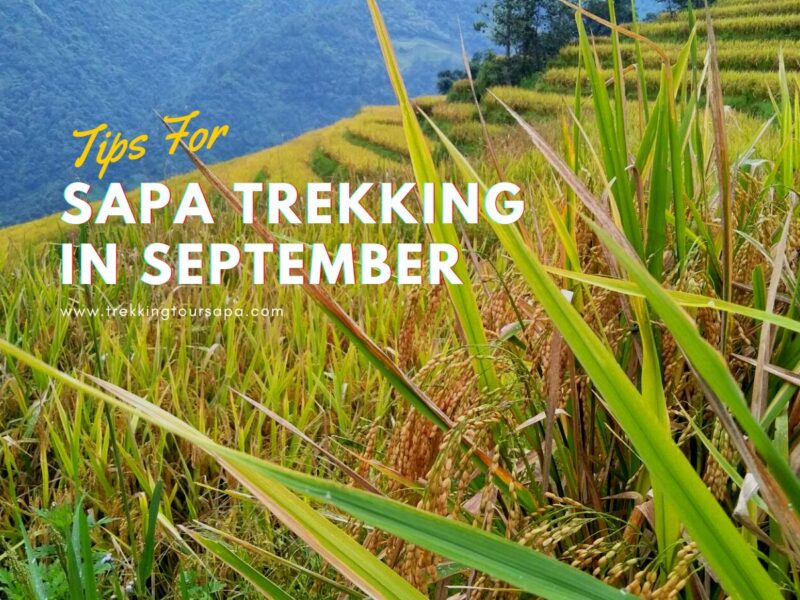 Sapa Trekking in September