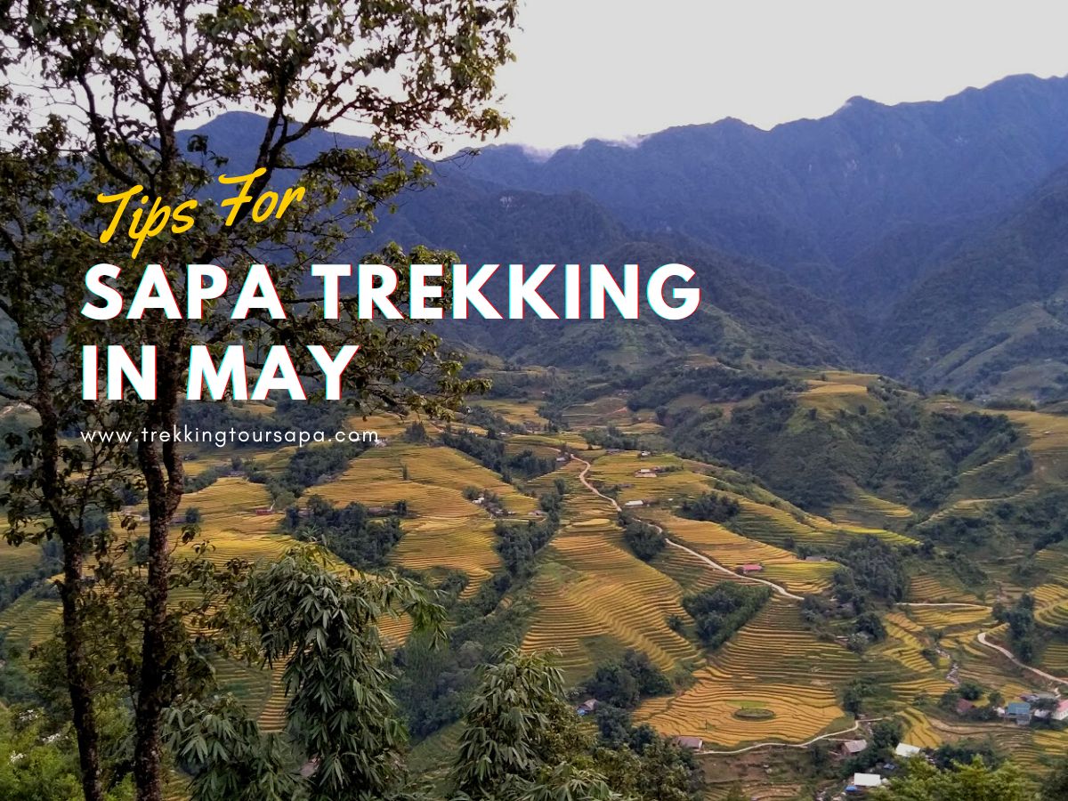 Sapa Trekking In May 2024 (10 Tips For Your Trip To Sapa)