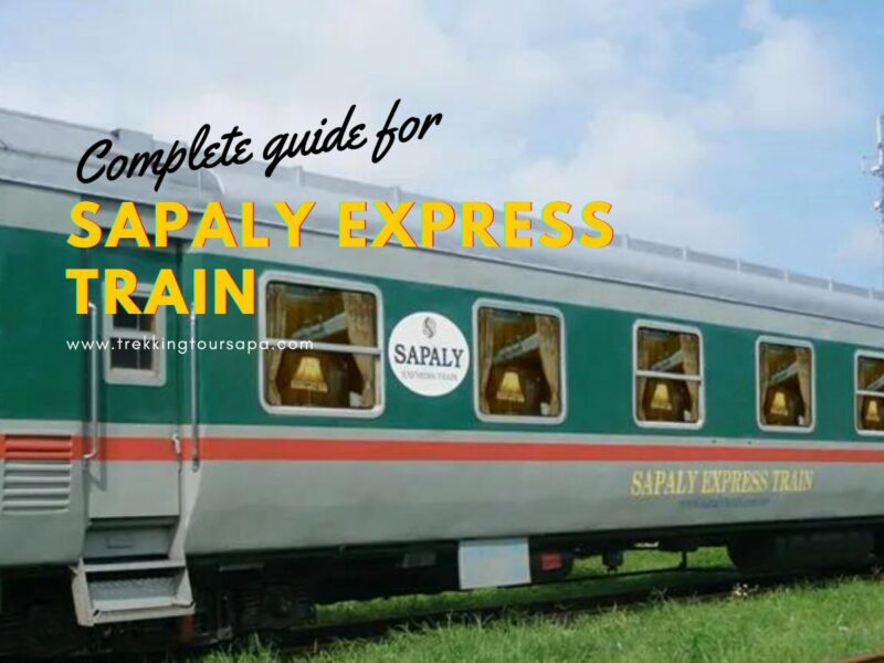 Sapaly Express Train