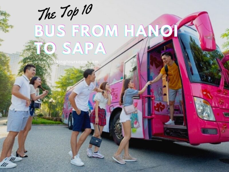 Top 10 Bus From Hanoi To Sapa