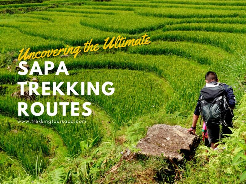 Uncovering the Ultimate Sapa Trekking Routes