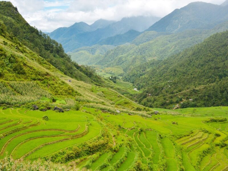 Waterfalls and Traditional Villages Rice Fields 10 Trekking Tour Sa Pa