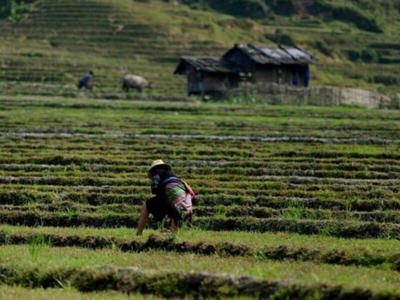 Waterfalls and Traditional Villages Rice Fields 9 Trekking Tour Sa Pa