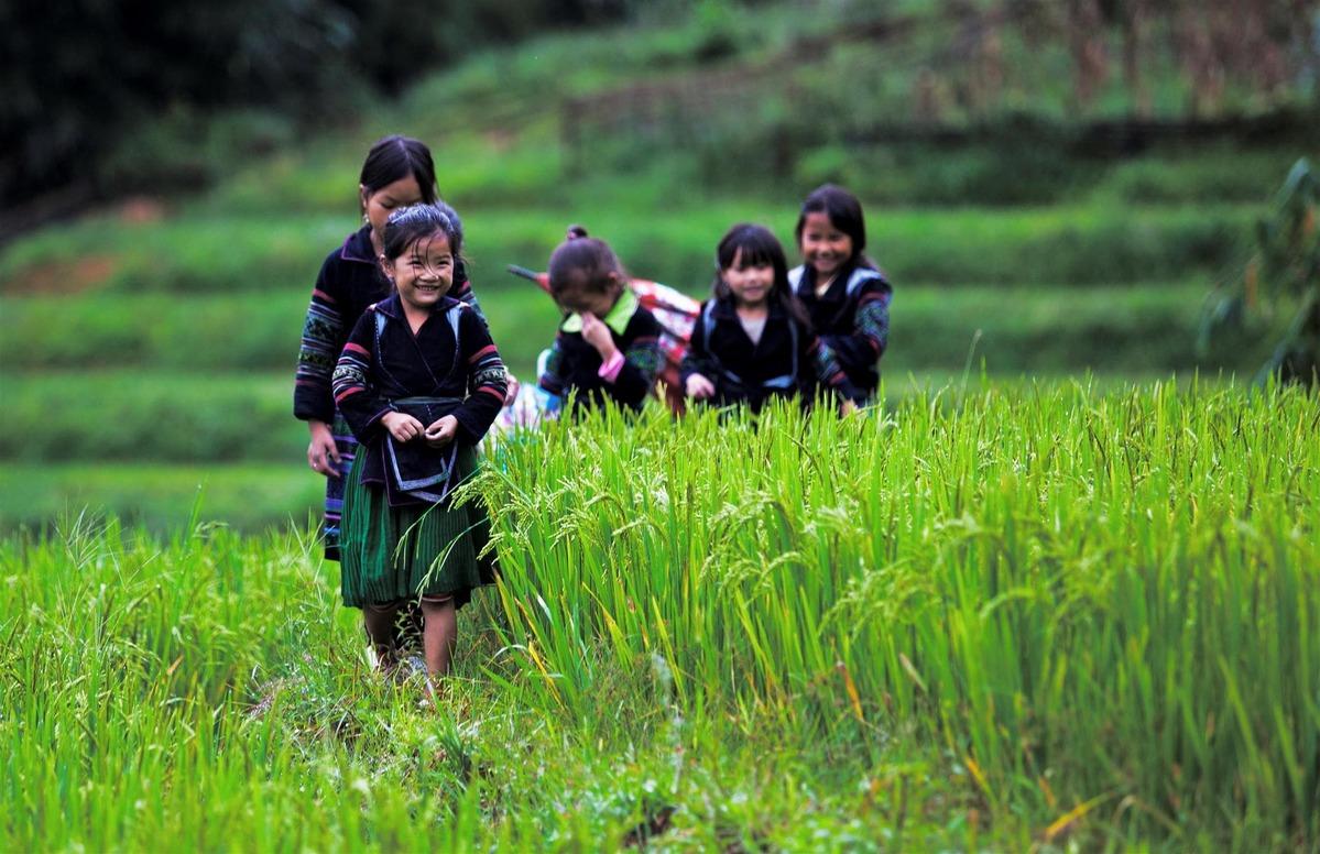 What To Do In Sapa