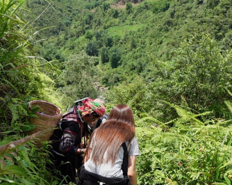 Explore Sapa Nature