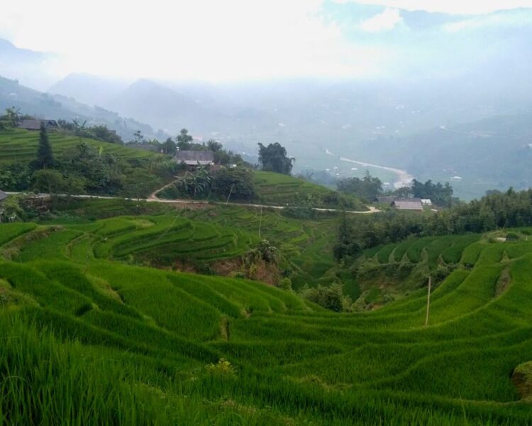 Muong Hoa Valley Tour