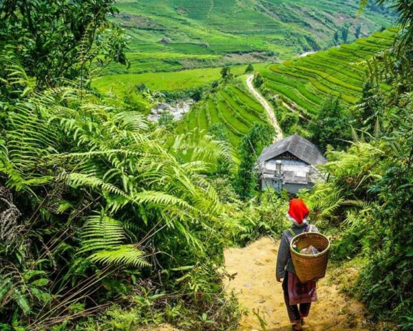 One Day Trekking In Sapa