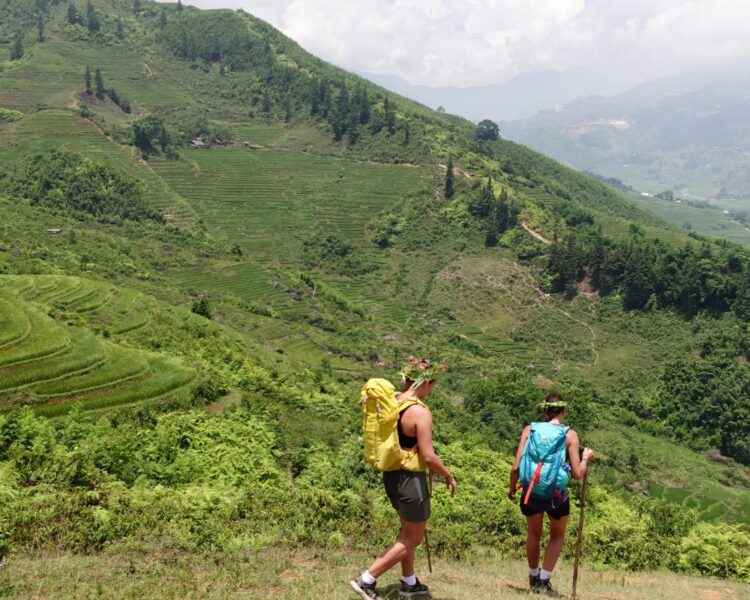 Sapa Hiking