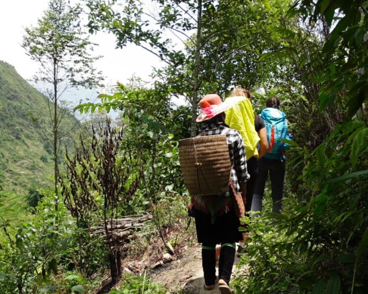 Sapa Hiking