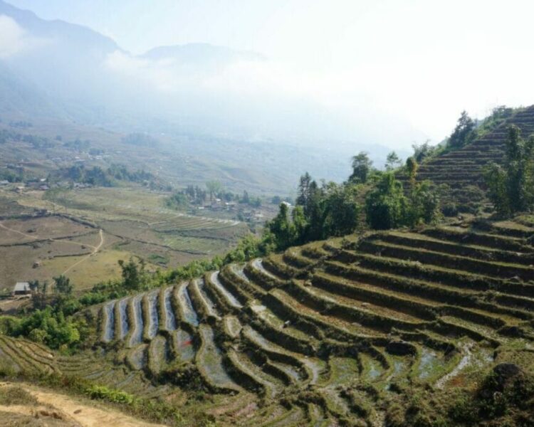 Sapa Hiking Tour To Rice Fields