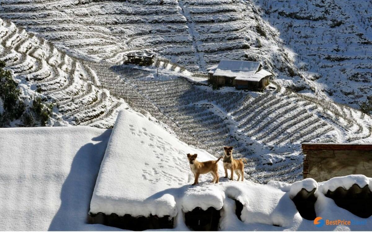 Sapa In Winter