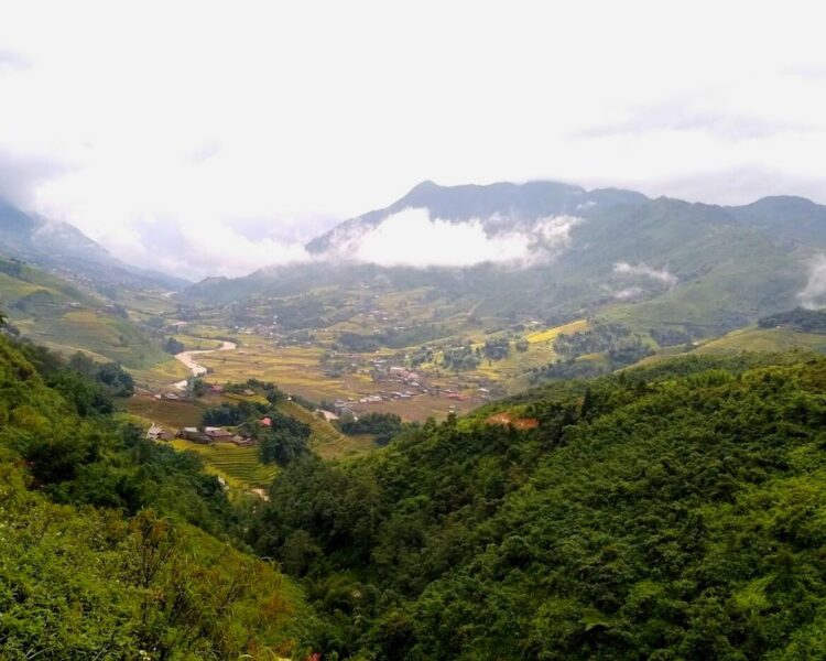 Sapa Muong Hoa Valley Trekking Tour