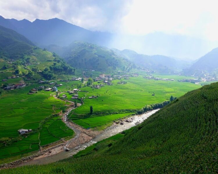 Sapa Over Look To Amazing Rice Fields