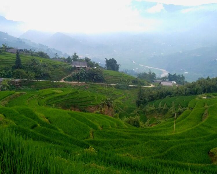 Sapa Trekking And Homestay