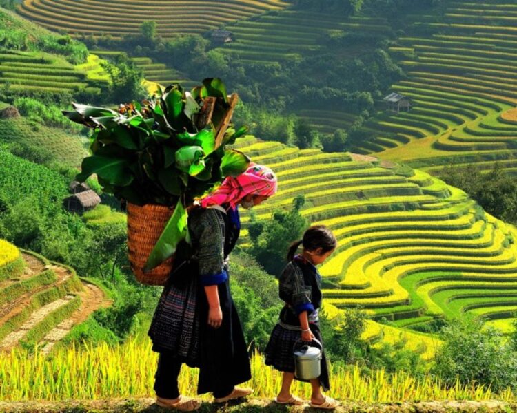 Sapa Vietnam Hiking Tours