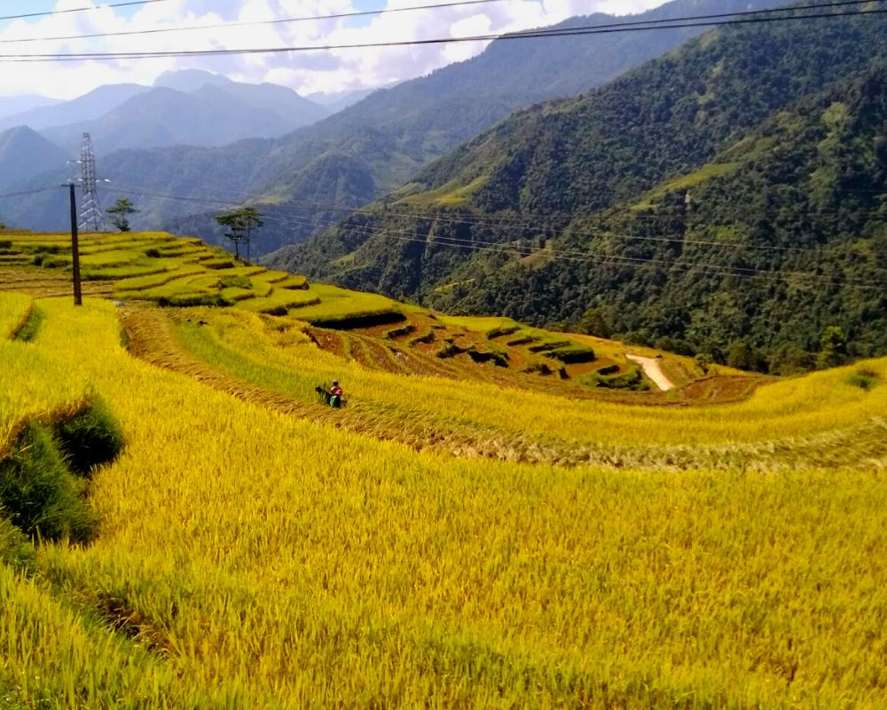 The best time to visit Sapa is September