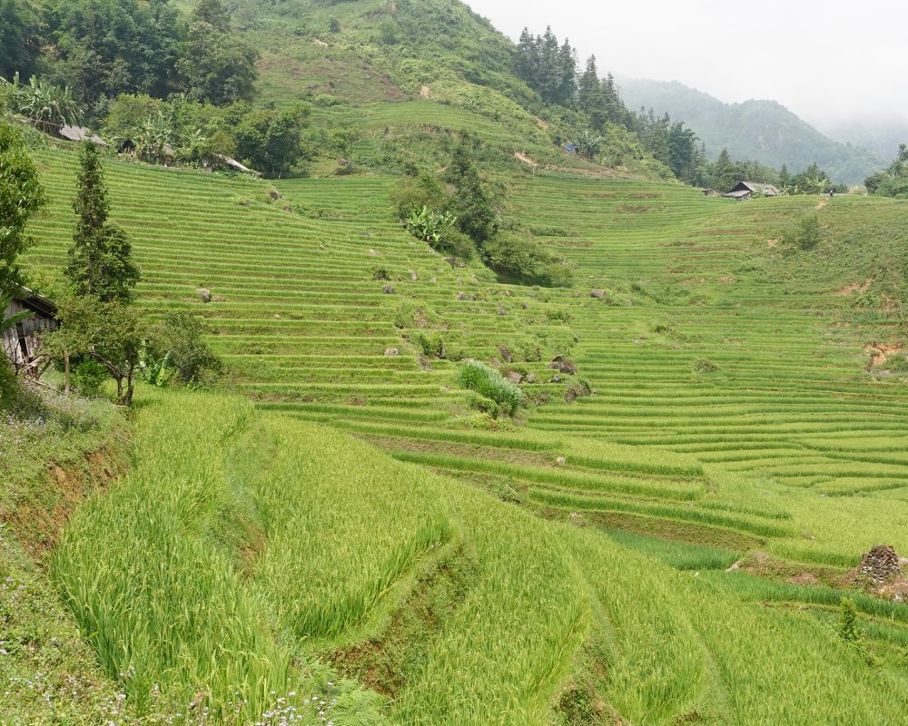 The Best Time To Visit Sapa, Vietnam