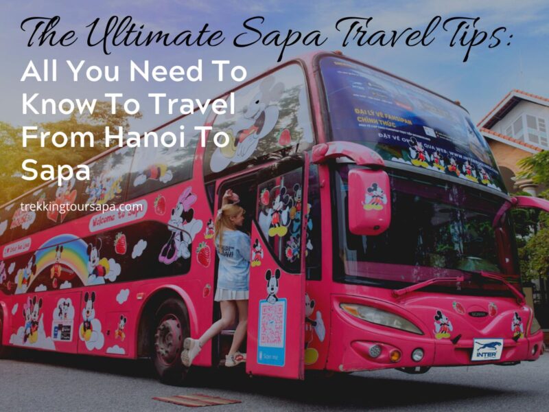train, bus, limousine or taxi from Hanoi to Sapa