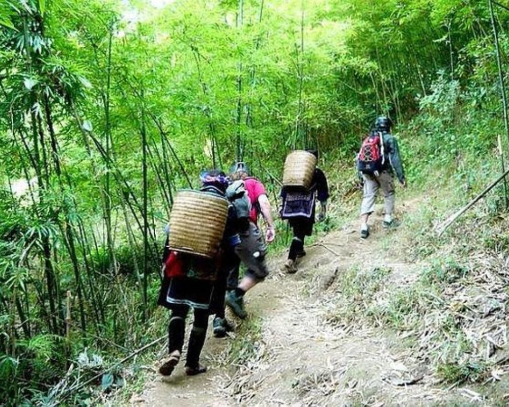 Trekking Sapa With Local Guide