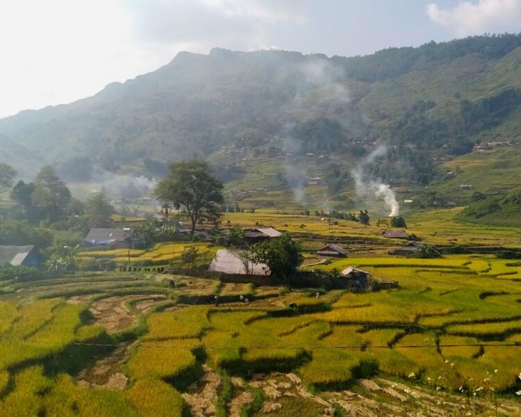 Trekking Tour And Homestay