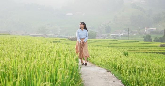 Walking On The Rice Fields