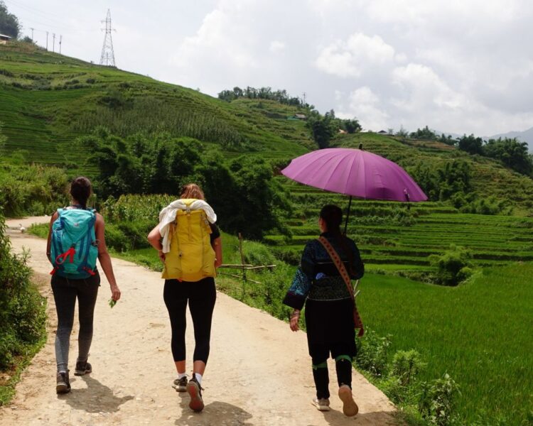 Walking tour to rice fields