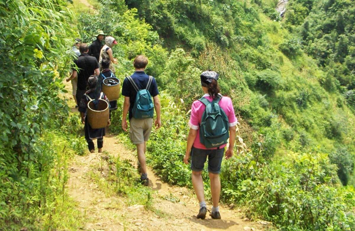 Trekking In Sapa (Source: Internet)