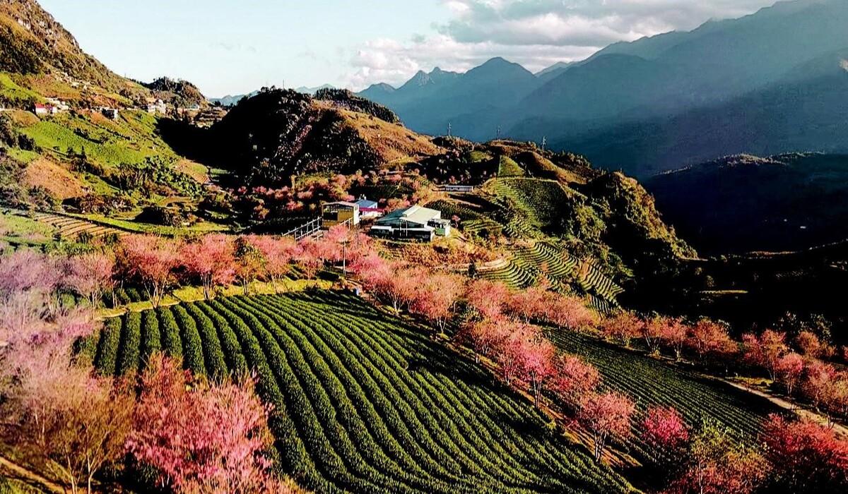 Sapa In Spring (Source: Internet)