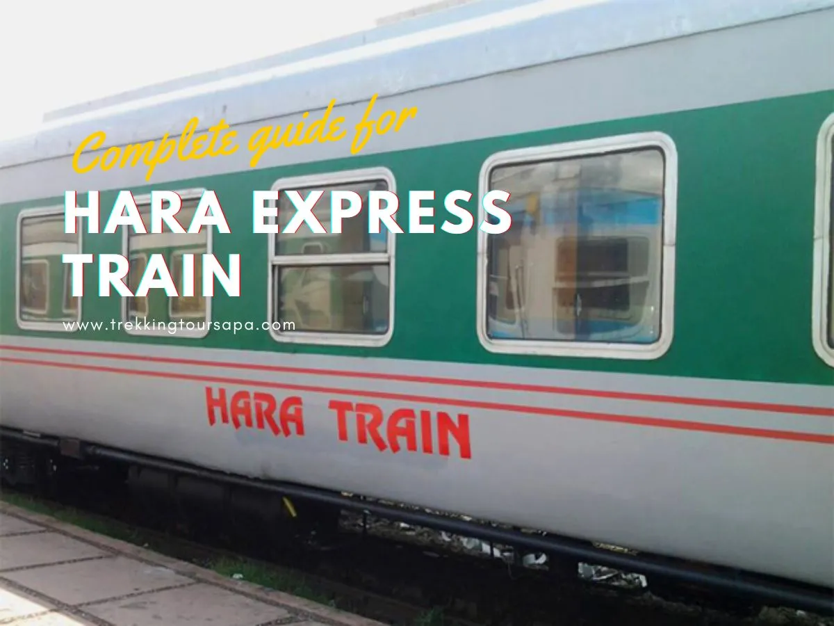 Hara Express Train: All You Need To Know Before Booking