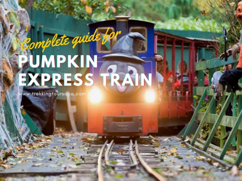 Pumpkin Express Train