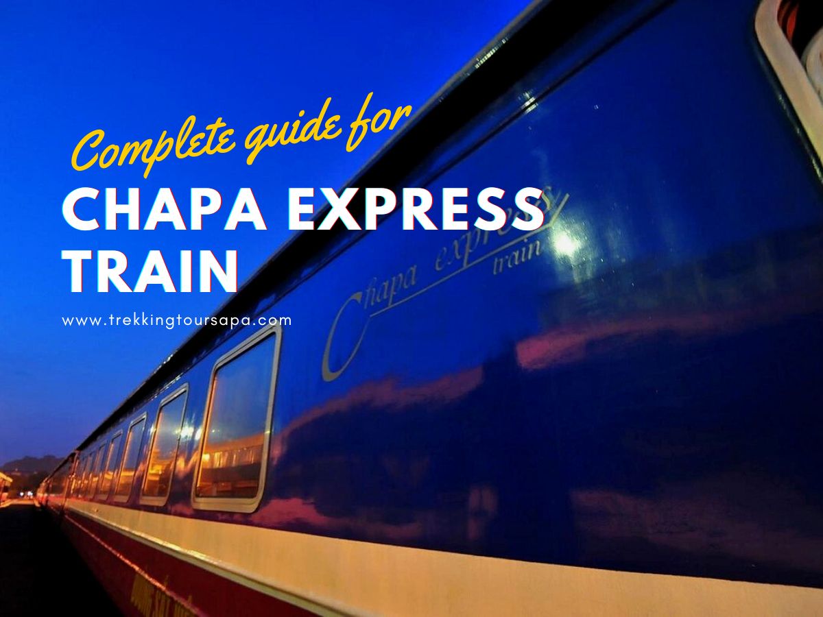 Chapa Express Train: Everything You Need To Know
