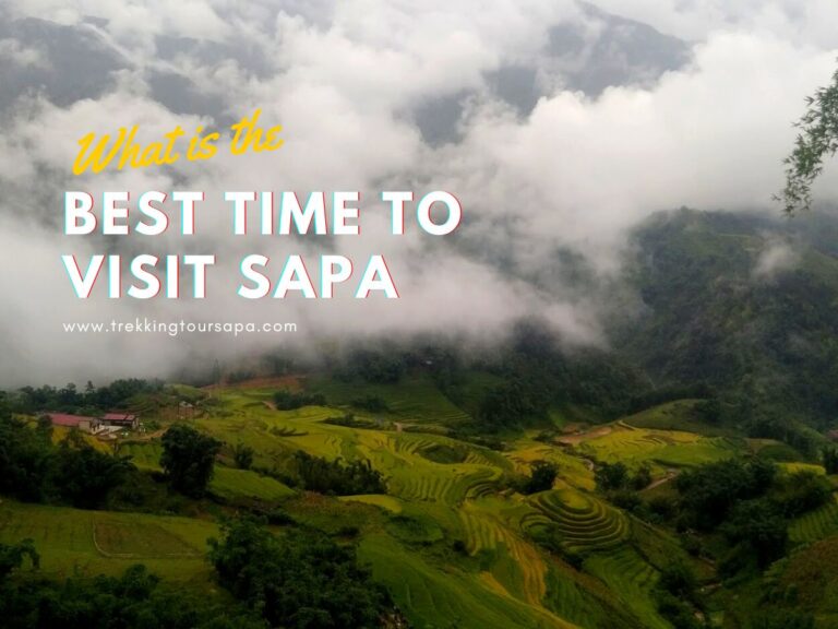 What Is The Best Time To Visit Sapa Vietnam? (4 BEST TIMES)