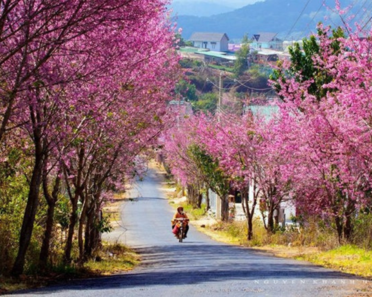 Best Time To Visit Sapa Vietnam