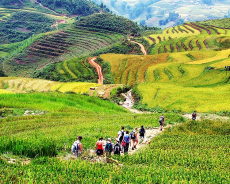 What Is The Best Time To Visit Sapa Vietnam? (4 BEST TIMES)