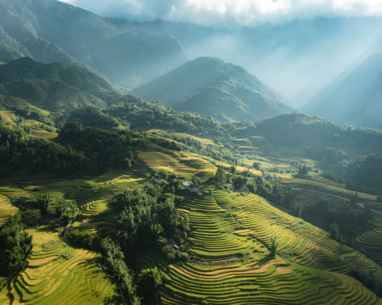 What Is The Best Time To Visit Sapa Vietnam? (4 BEST TIMES)