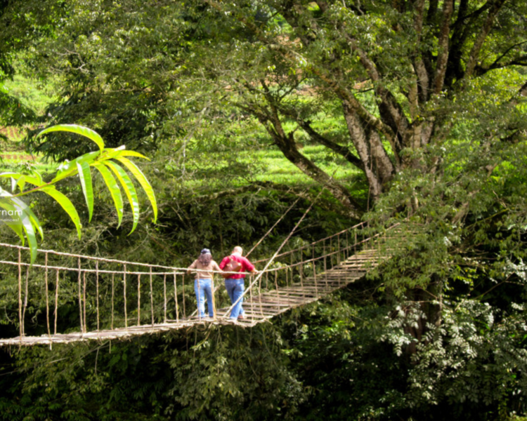 Sapa Trekking Tips