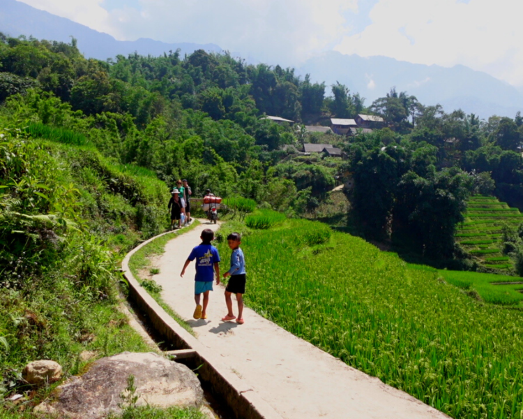 Trekking Sapa To Local Villages