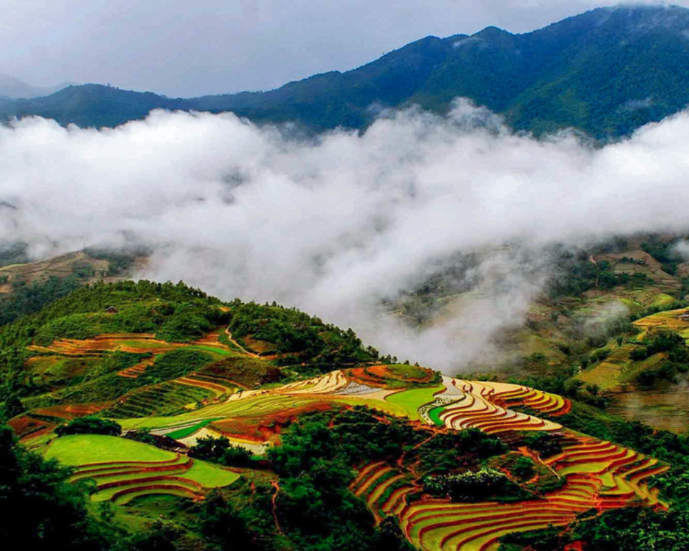 Best Sapa Trekking